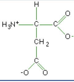 <p>What macromolecule is this?</p>