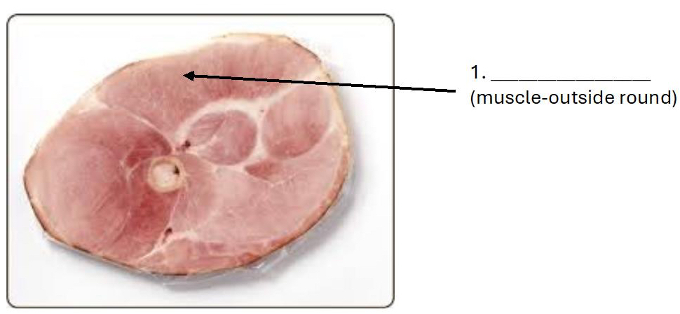 <p>What type of muscle is 1?</p>