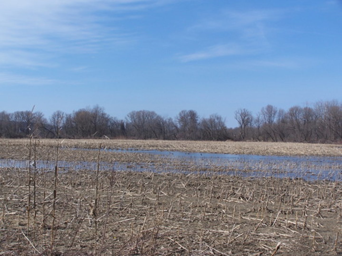 <p>(v) to soak thoroughly, fill to capacity; to satisfy fully</p><p>(s) permeate, drench, flood, imbue</p><p>(a) drain</p>