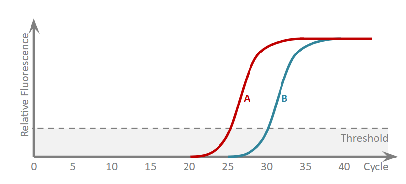 <p>Does A or B have more template to start with? Why?</p>
