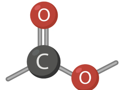 <p>Functional group name: ester </p><p>General name: alkyl alkanoate </p><p>Example name: methyl propanoate </p><p></p>
