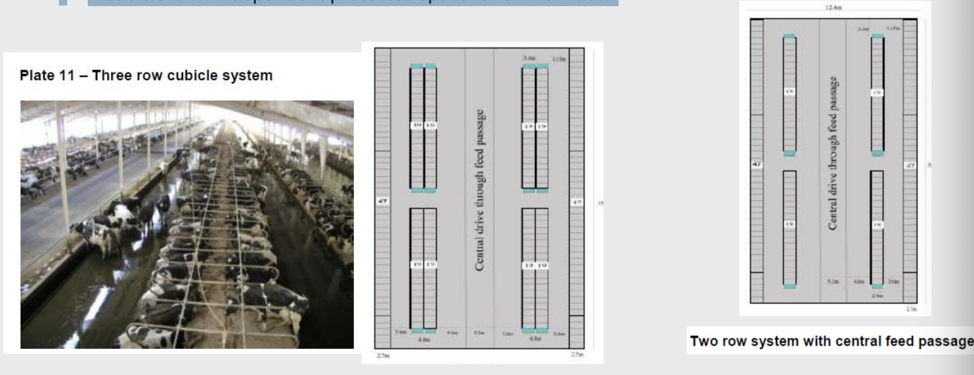 <p>• Cubical systems are commonly used for housing adult dairy cattle specially in areas where straw is expensive and in short supply. </p><p></p><p>• A cubicle is an independent protected space for an individual.</p>