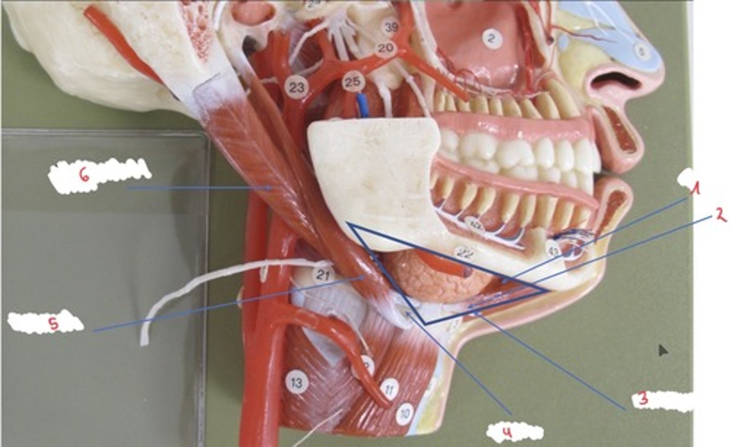 <p>Wat wordt er aangeduid met 6</p>
