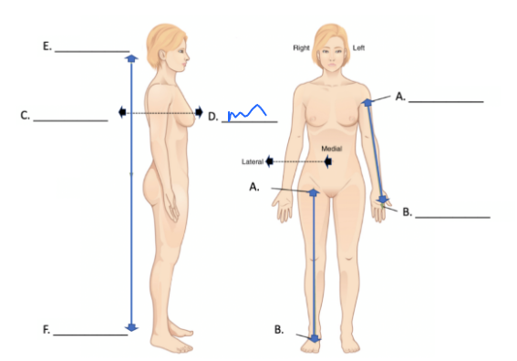 <p>What is this directional term?</p>