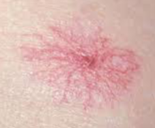 <p>What’s that</p>