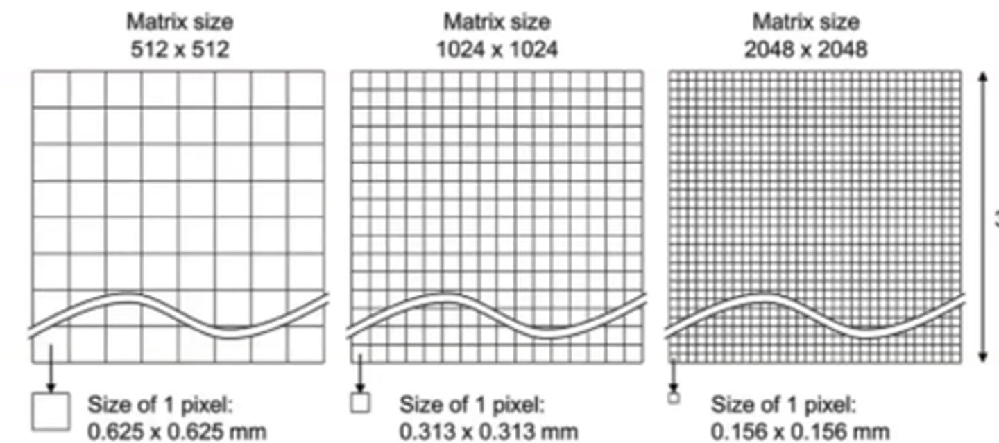 <p>increases</p>