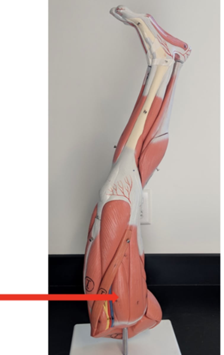 <p>what is this?</p>