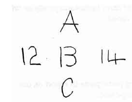 <p>a mental predisposition to perceive one thing and not another</p>