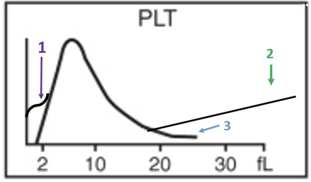 <p>where are large platelets?</p>