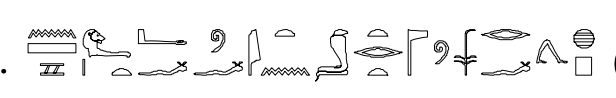 term image
