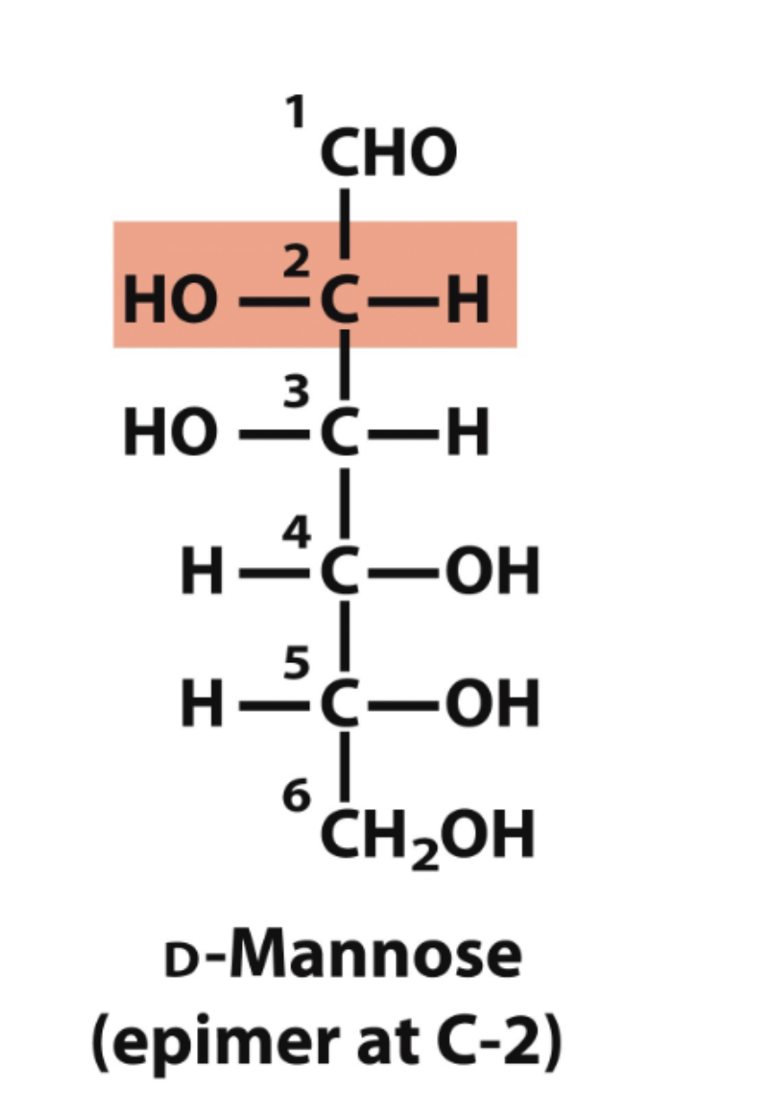 <p>what is the name of this structure? </p>