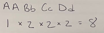<p>8</p>