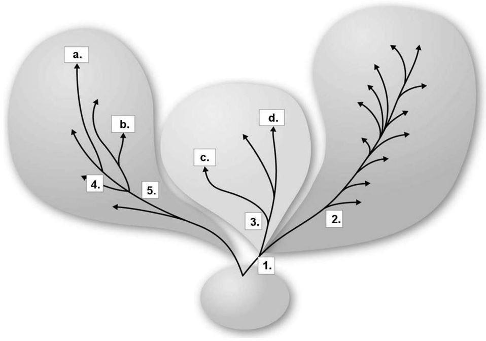 <p><span>In the figure above, species "c." is most closely related to which of the following?</span></p>