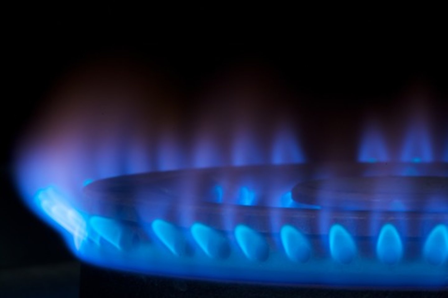 <p>to heat / to warm</p>