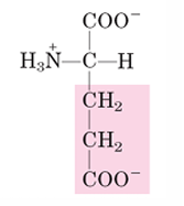 <p>E</p>