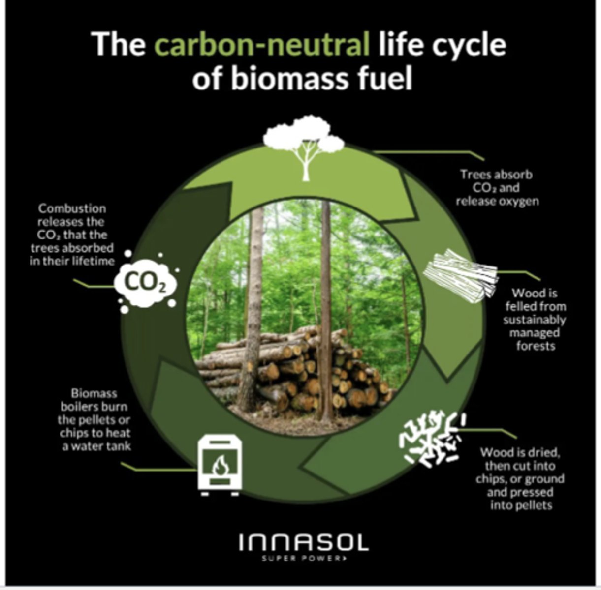 <p>Trees absorbs CO2, stored in their wood, leaves, and roots, and release oxygen; wood can then be felled from sustainably managed forests, harvesting trees in a way that ensures new ones are planted or naturally regrow</p><p>-wood is processed into fuel, compressed into pellets, a common biomass fuel; biomass boilers burn the pellets or chips to generate heat, releasing the CO2 trees had absorbed during their lifetime</p><p>-since the released CO₂ equals the CO₂ that the trees originally absorbed, the process can be considered carbon-neutral as long as new trees are grown to replace the harvested ones</p>