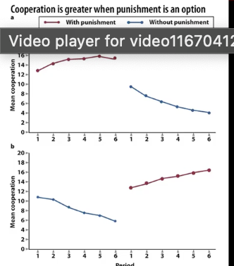 <p>Group of people each given money; on each round, each person decides $ to contribute to the pot; pot is divided unfairly &amp; the remainder is dispensed evenly to the players</p><ul><li><p><strong>Optimal:</strong> Contribute everything</p></li><li><p><strong>Free rider:</strong> contribute nothing</p></li><li><p><strong><em>Punishment increases cooperation rate</em></strong></p></li></ul><p></p>