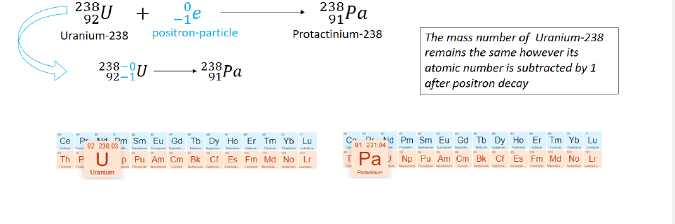 <p>an electron falls into the nucleus and fuses with a proton to form a neutron</p>