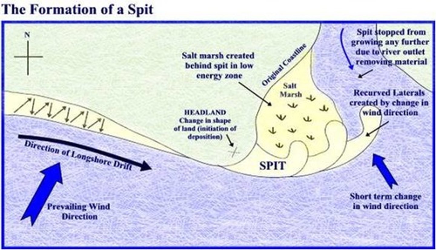 <p>= a long narrow feature made of sand or shingle that extends from the land into the sea (or part way across an estuary) forming on drift aligned beaches <br><br>1. sand/shingle is moved along the coast by LSD, but if the coastline suddenly changes direction...<br>....sediment begins to build up across estuary mouth<br>... forming a spit <br><br>2. the wind direction also changes which will prevent the spit from extending right across the new coastline as the end of the spit begins to curve round <br>... due to wave refraction and wind direction, material is deposited in a more sheltered area behind the spit ==&gt; recurved tip<br><br>3. salt marsh may develop behind the spit where finer sediment settles and begins to be colonised by salt tolerant plants (sheltered area)<br><br>4. compound spits occur when transport processes are variable over time, producing a series of "barbs" along the spit</p>