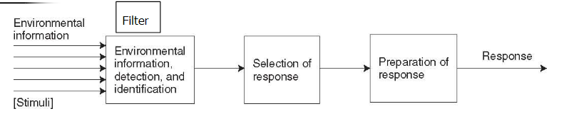 <p>Environmental information/stimuli—&gt; the filter (info, detect, identify)—&gt; response selection—&gt; preparation of response—&gt;response</p>