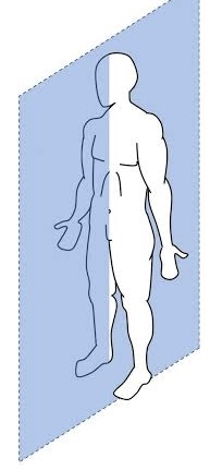 <p>sagittal plane that passes through the <strong>midline of the body</strong>, dividing it into left and right halves</p>