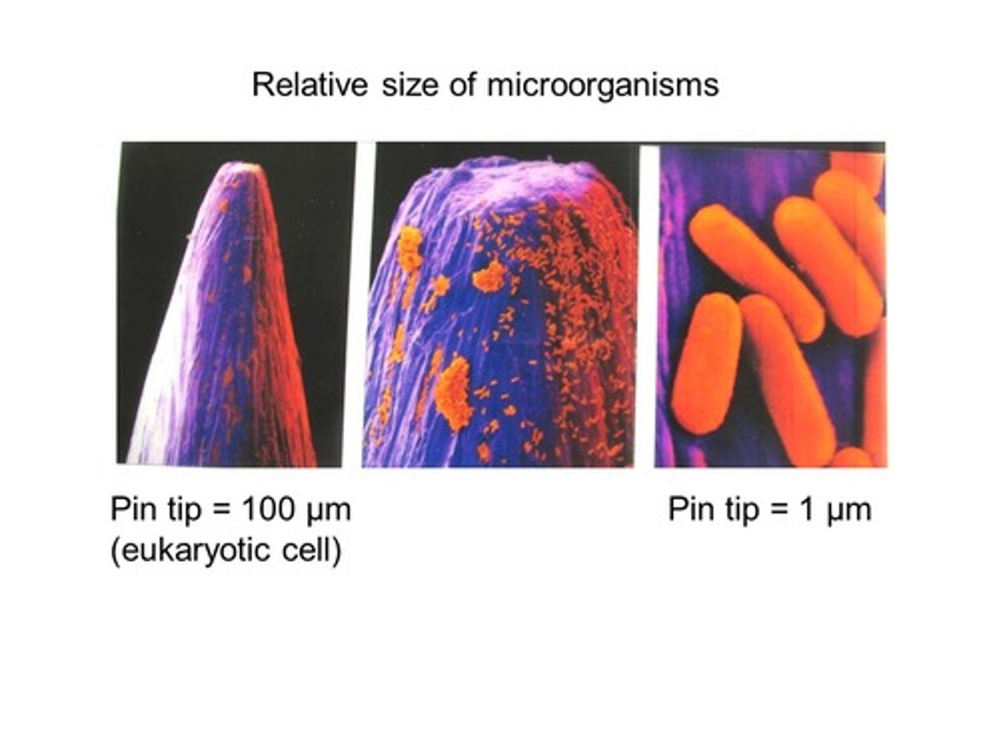 <p>1-10 micrometers.</p>