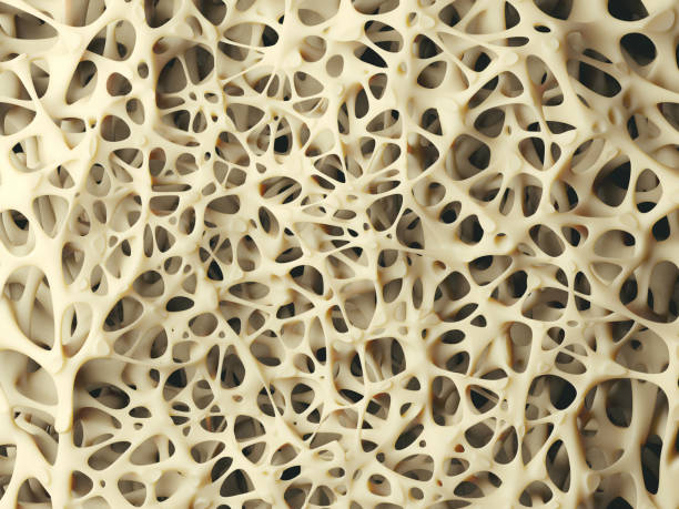 <p>what is this imaging showing </p>