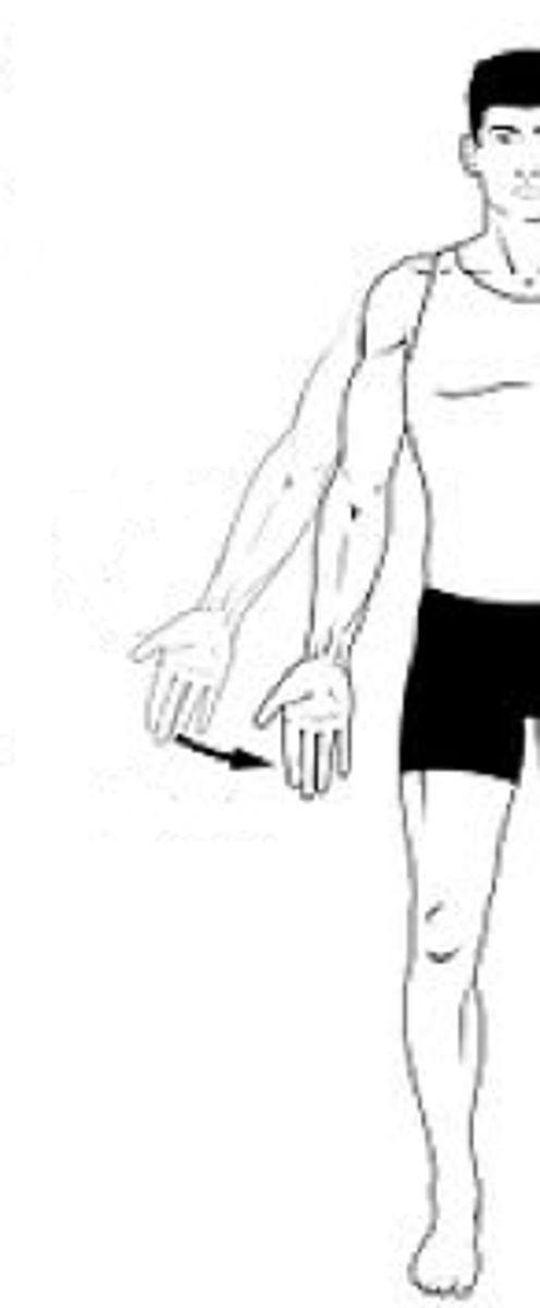 <p>Identify the action indicated by the arrow.</p>