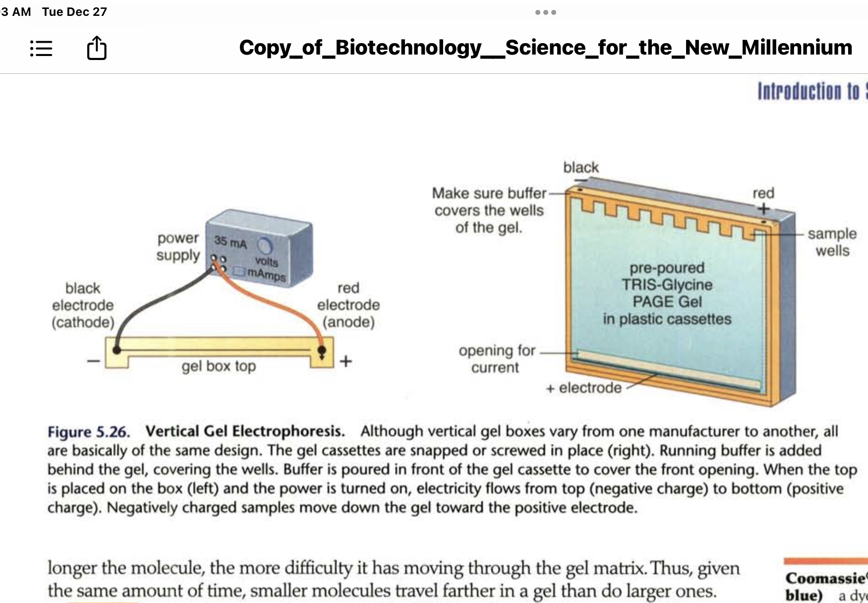 * Run in vertical gel boxes 
* Have electrodes at opposite ends of the box 
* When the correct buffer is placed in the box and a power supply is attached an electric field is created 
* The samples in the vertical gel electrophoresis must have a net negative charge to be able to move into the gel and travel through it toward the positive side 
* Smaller molecules travel farther in the gel than larger molecules do 