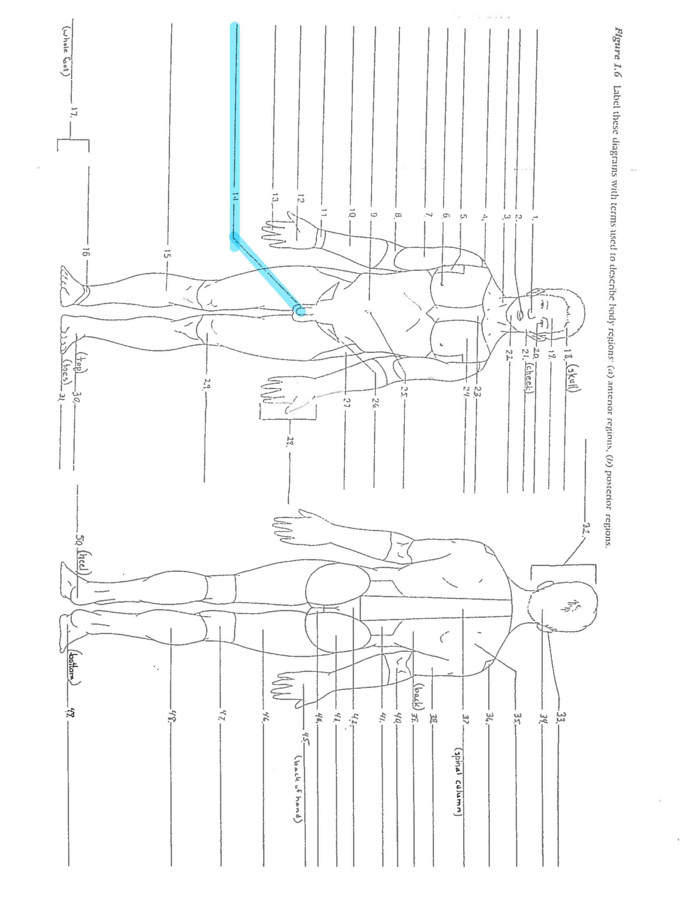 <p>Line 14 </p>