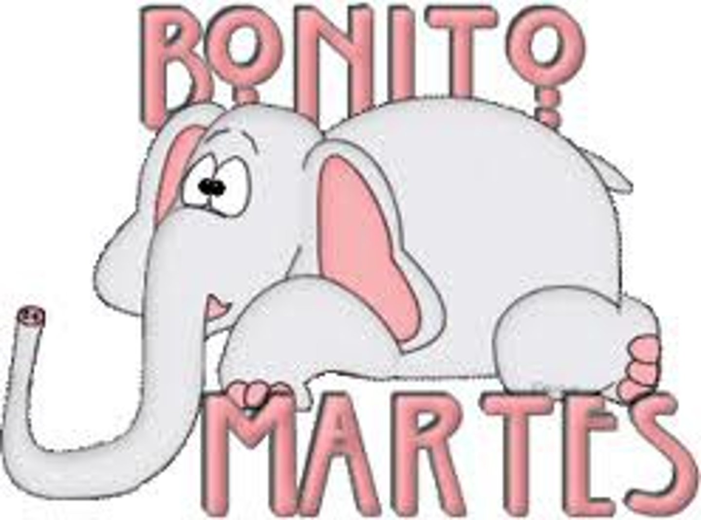 <p>Tuesday</p>