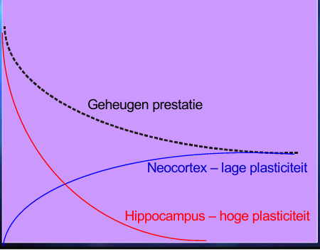 <p>neocortex heeft lage plasticiteit</p><p>hippocampus hoge plasticiteit</p><p></p>