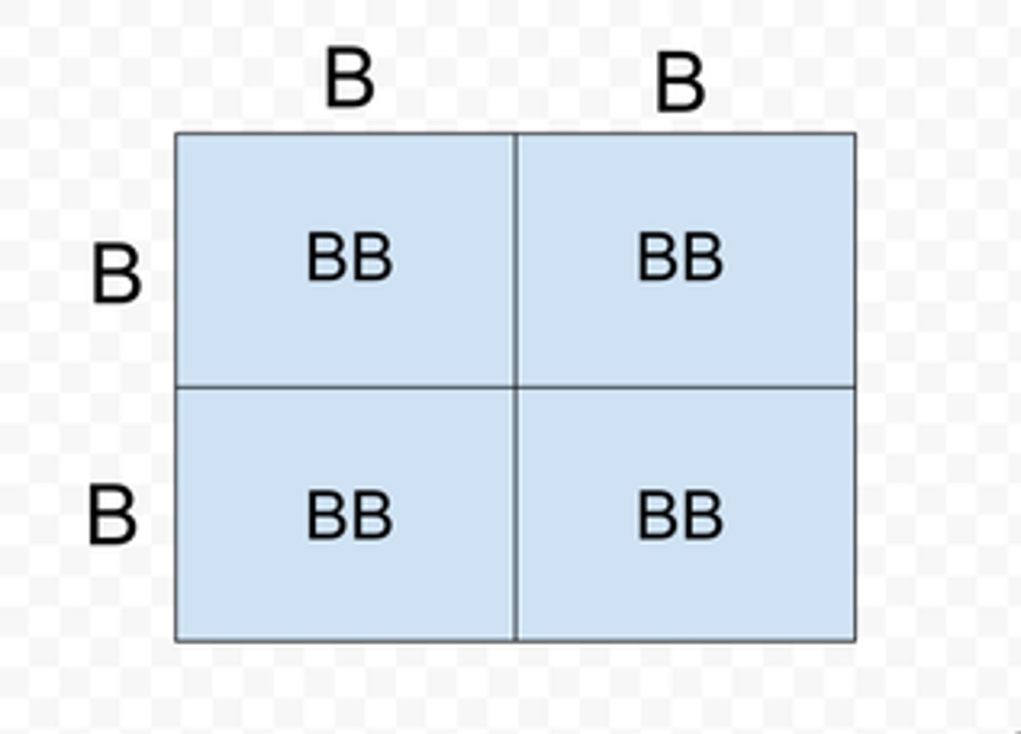 <p>having two identical alleles for a trait</p>