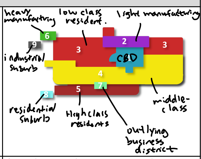 <p><span>A theory of urban structure proposed by Chauncy Harris and Edward Ullman, suggesting that cities have multiple centers of development, each with its own specialized activities.</span></p><ul><li><p><span>Example: Los Angeles, USA.</span></p></li><li><p><span>Significance: This model challenges the idea of a single central business district and highlights the complexity of urban spatial organization.</span></p></li></ul>