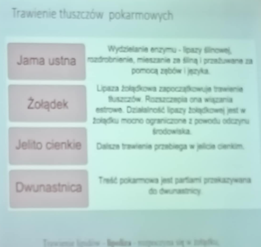 <p>jama ustna- wydzielanie lipazy ślinowej rozdrobnienie pokarmu i mieszanie ze śliną przeżucie</p><p></p><p>żołądek- lipaza żołądkowa rozpoczyna trawienie tłuszczy, rozpuszcza wiązana estrowe ale jej praca jest ograniczona przez środowisko w żołądku</p><p></p><p>jelito cienkie- dalsze trawienie przebiega tutaj</p><p></p><p>dwunastnica- treść pokarmowa trafia do dwunastnicy </p>