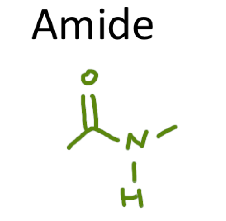 <ul><li><p>its the O double bonded to the C bonded to the N, the hydrogen aren’t important</p></li></ul><p></p>