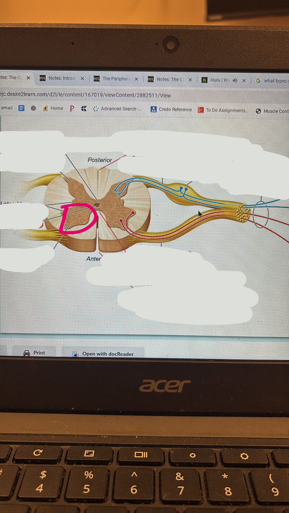 knowt flashcard image