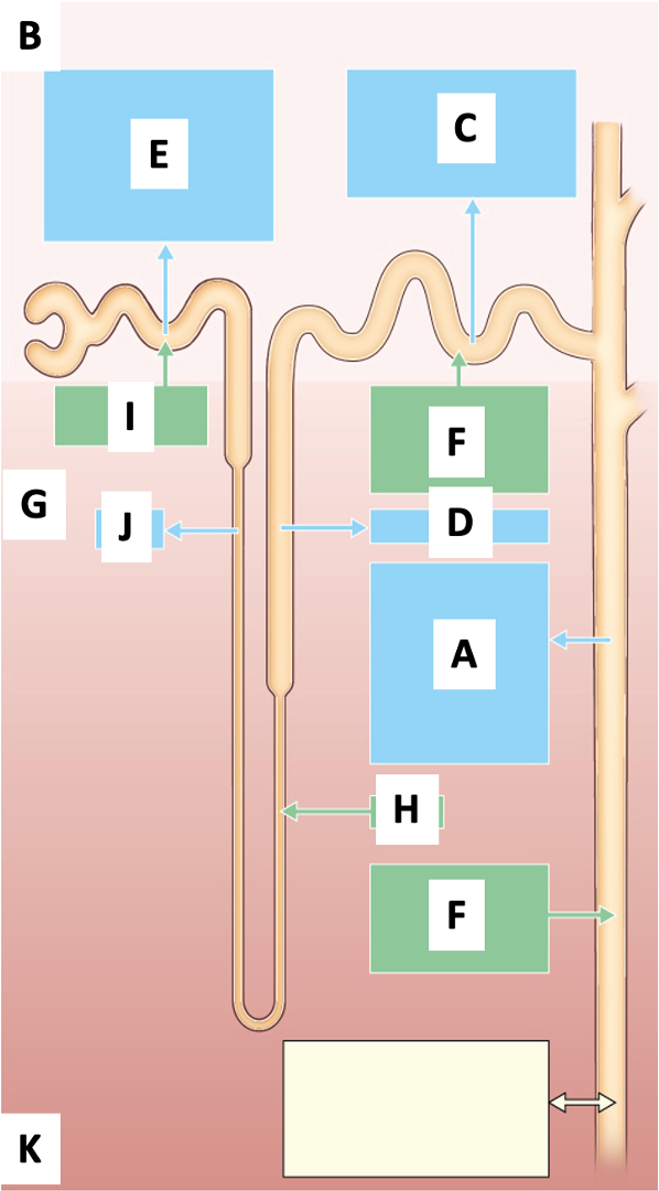 <p>E</p>
