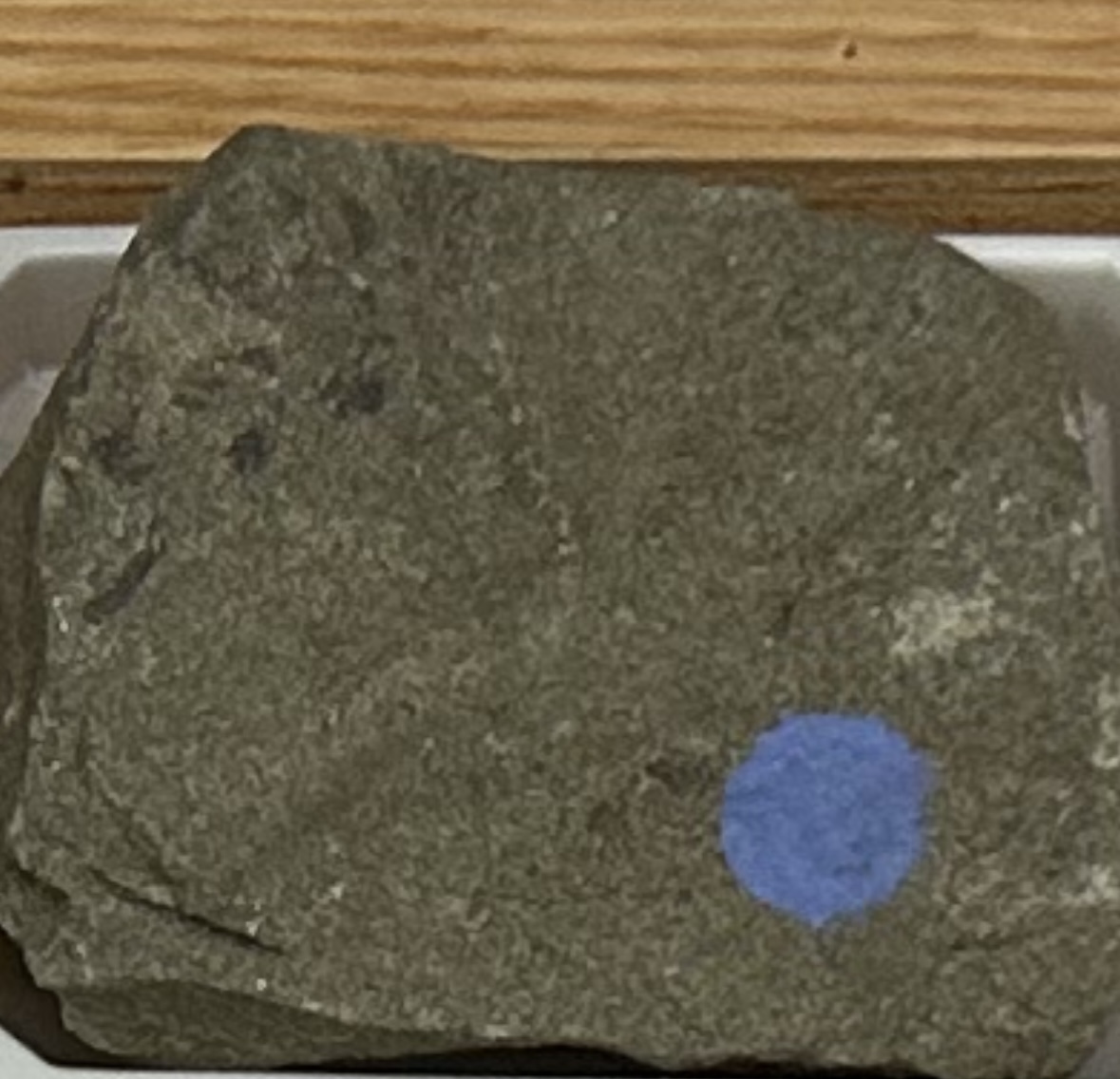 <p><strong><u>CLASTIC/DETRITAL:</u></strong></p><p><strong>GRAIN:</strong></p><p>size— 1/16mm - 2mm, shape— uniform grain, sorting— poorly-sorted</p><p><strong>ENVIRONMENT:</strong> marine (continental slope/rise)</p><p><strong>HCI: </strong>possibly</p><p><strong>CEMENT:</strong> well-cemented</p><p><strong>POROUS:</strong> low</p><p><strong>MINERAL(S): </strong>quartz, feldspar, rock and/or clay minerals<br><strong>OTHER:</strong> angular grains</p>