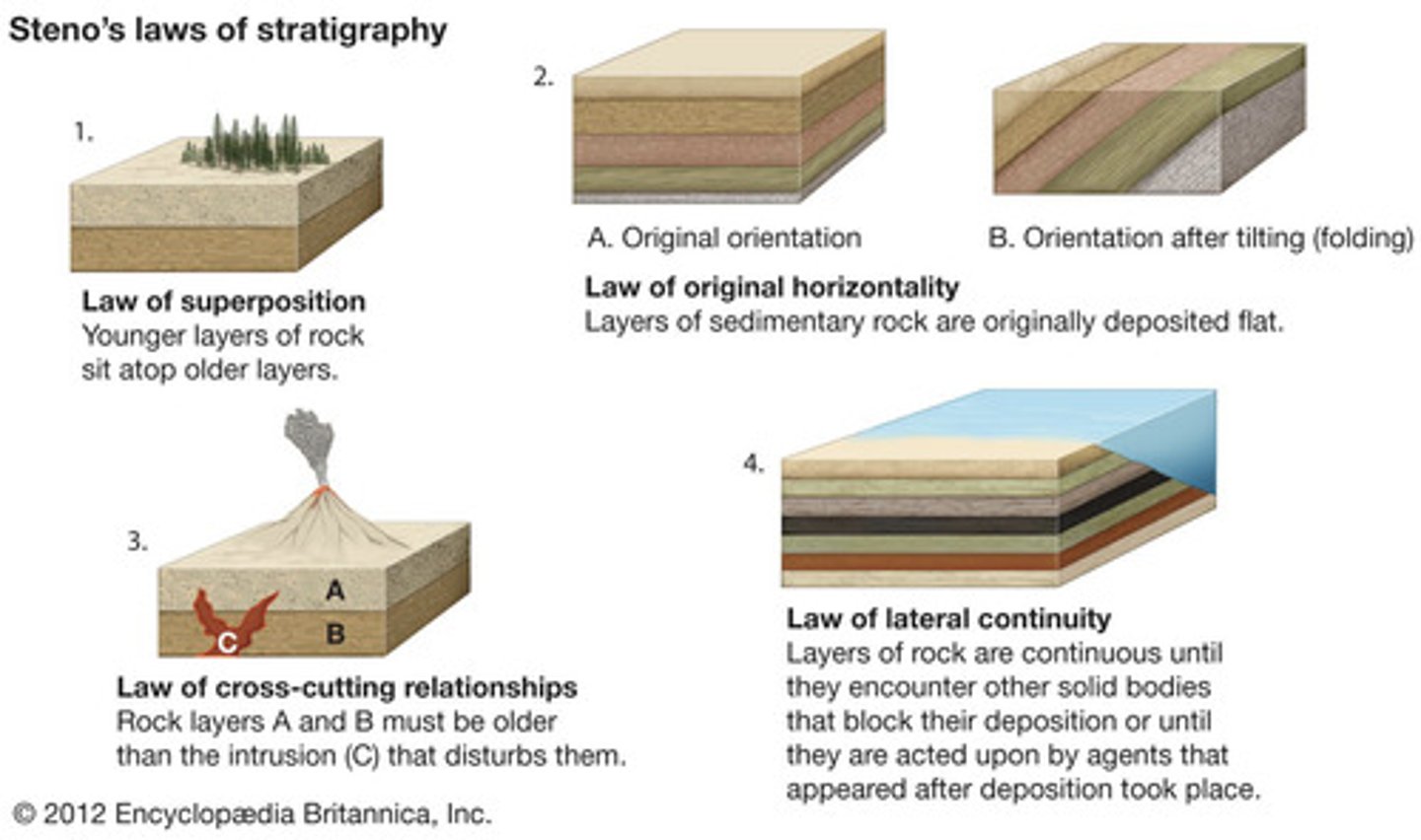 <ol><li><p>original horizontally</p></li><li><p>superposition</p></li><li><p>lateral continuity</p></li><li><p>cross-cutting relationships</p></li><li><p>faunal succession</p></li></ol>