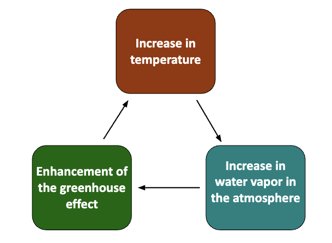 <p>Increase in temperature <span>→</span> increase in water vapor in the atmosphere → enhancement of greenhouse effect → increase in temperature </p>
