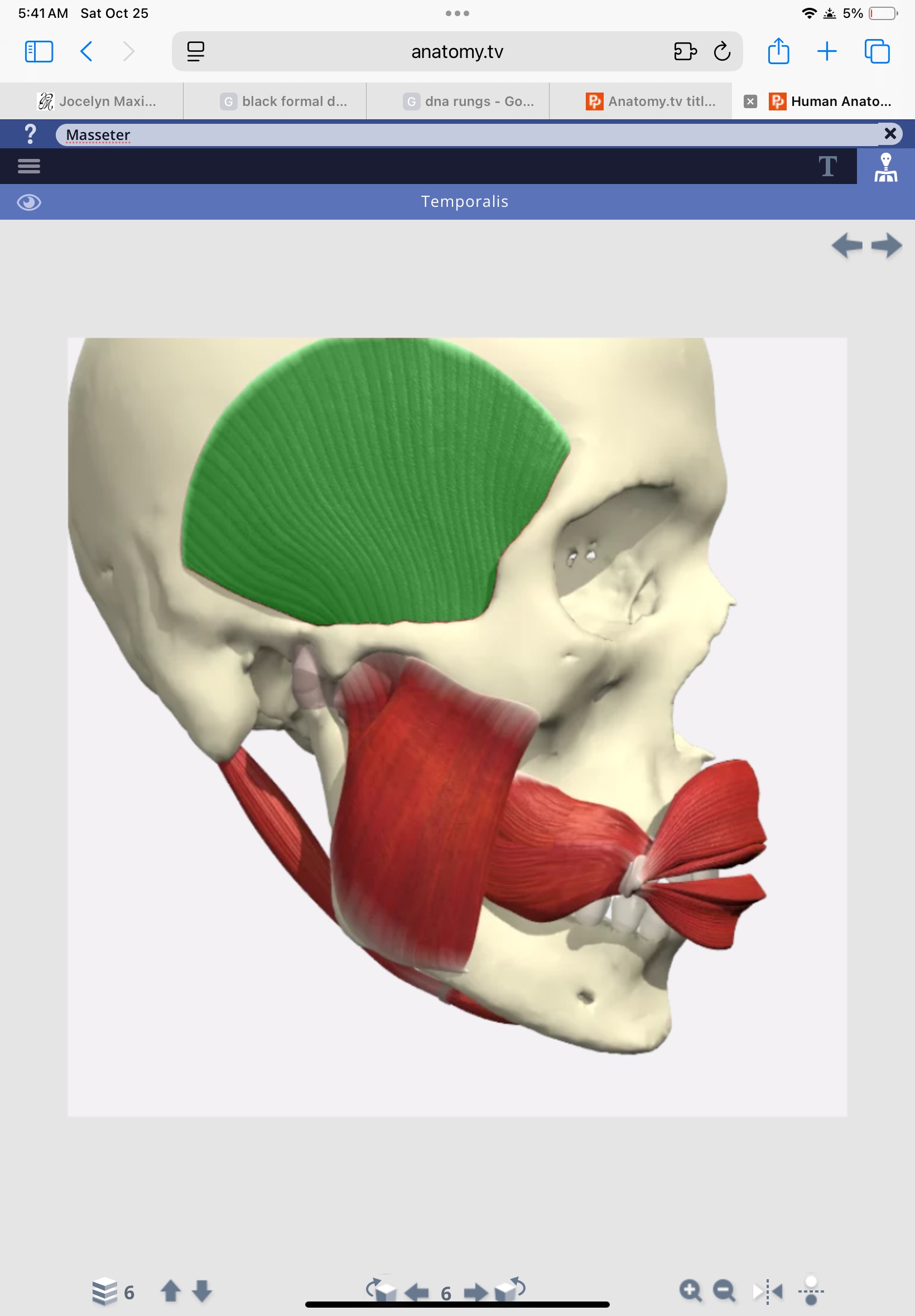 knowt flashcard image