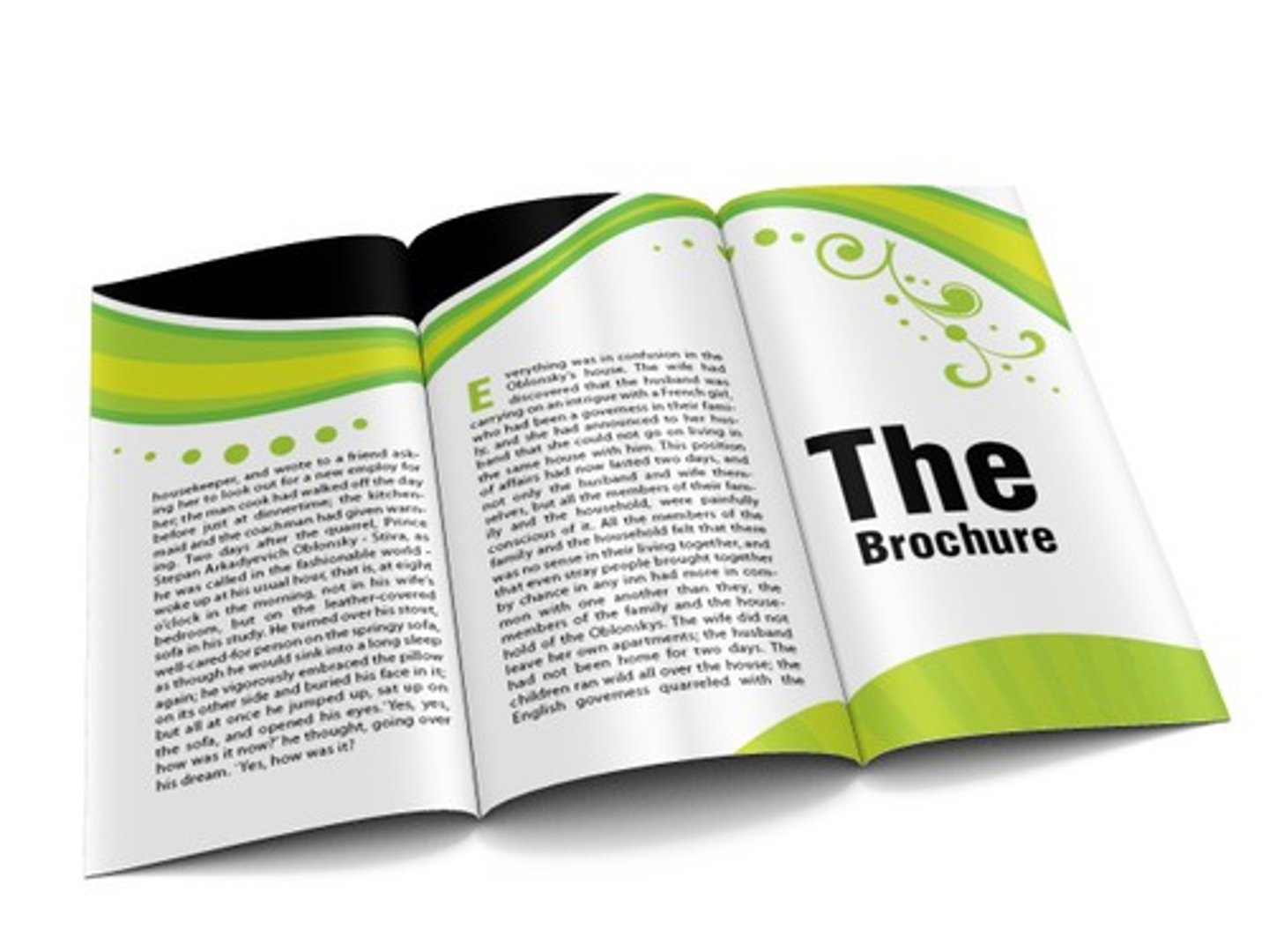 <p>brochure/pamphlet</p>