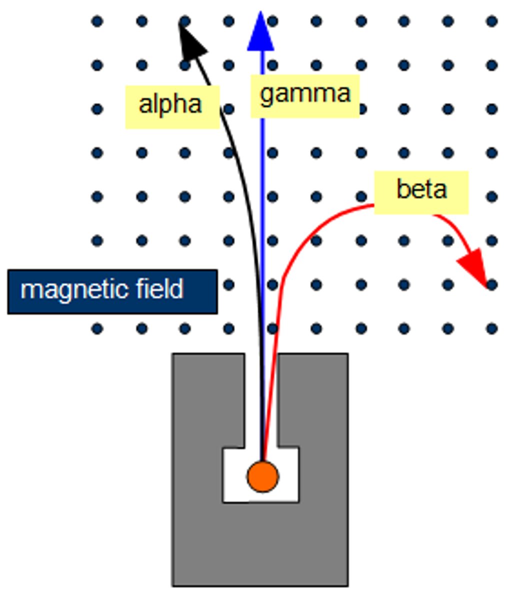 <p>α state - The magnetic field of the proton will point upwards, in line with B₀.</p><p>β state - The magnetic field of the proton will point downwards, out of line with B₀. This is the higher energy state.</p>