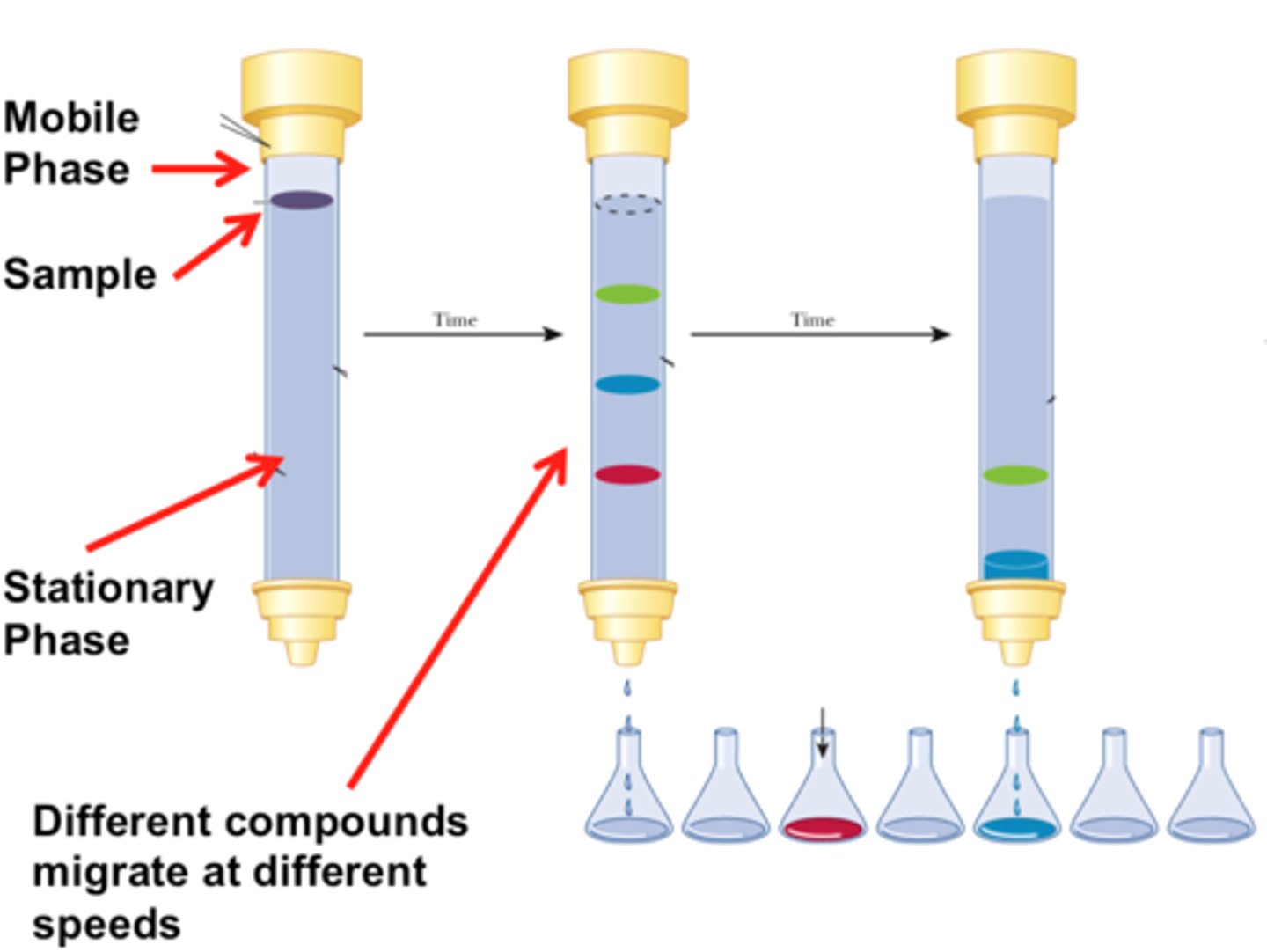 <p>Used in Column Chromatography.</p><p>The sample is added at the top, and the different affinities for SiO2 or Al2O3 (stationary phases) will cause differing retention times.</p>