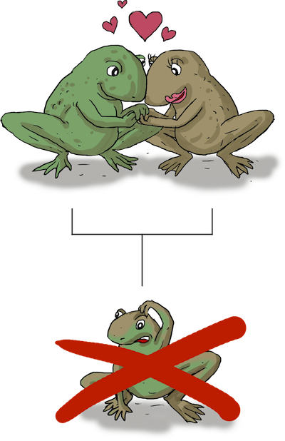 <p>offspring dies during development (postzygotic)</p>