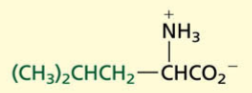 <p>Aliphatic[NONPOLAR]</p>