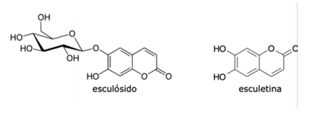 <p>Parte da planta: cascas</p><p>Possui: heterósidos, o esculósido e a esculetina</p><p>Funções: protetor vascular e venotónico</p><p>Usado em: insuficiência venolinfática, crise hemorroidária e fragilidade capilar cutânia.</p>