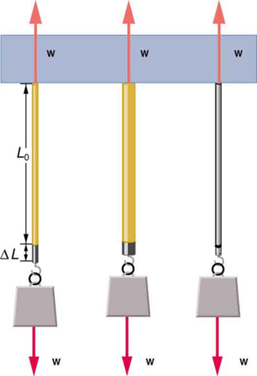 <p>Elastic deformation is a temporary change in shape that is reversible when the applied force is removed.</p>