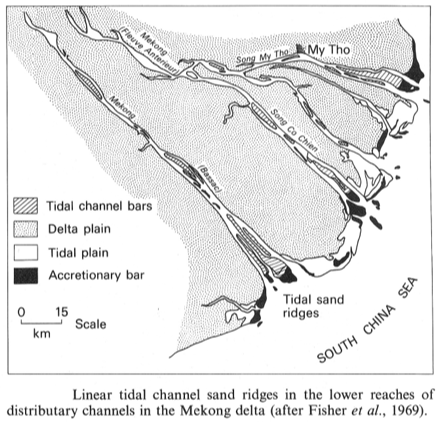 <p>shape is extensively reshaped by flood and ebb tidal currents, funnel-shaped mouth an linear island bars (ex: Ganges-Brahmaputra River)</p>